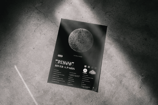 Poster- Hiver à Paris - Dinos