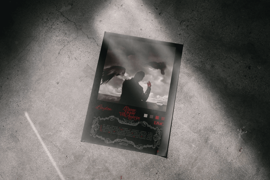 Poster- L'Étrange Histoire de Mr. Anderson - Laylow