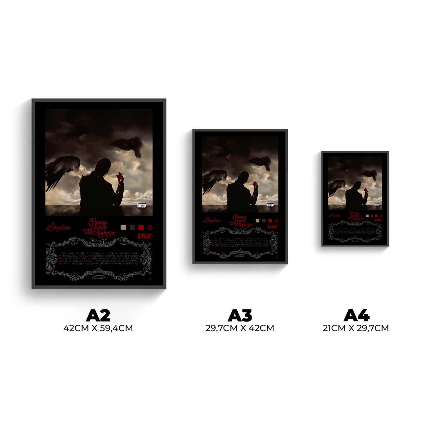 Poster- L'Étrange Histoire de Mr. Anderson - Laylow